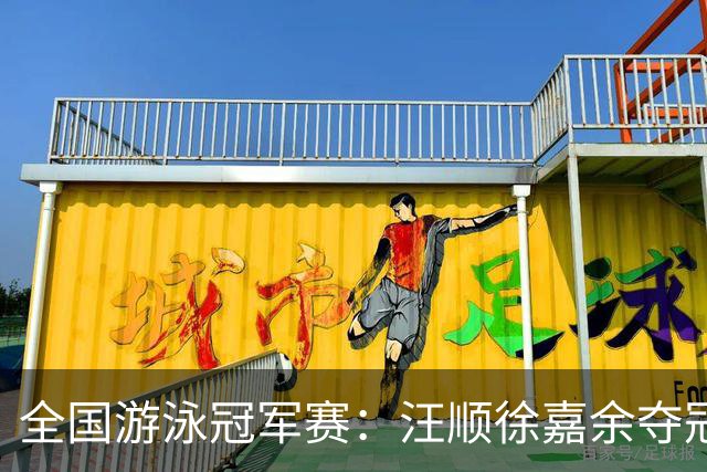 全国游泳冠军赛：汪顺徐嘉余夺冠 成绩将成亚运会选拔依据